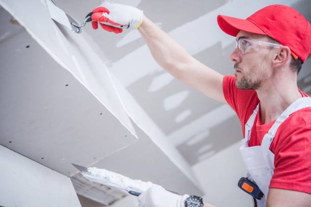 Best Commercial Drywall Repair  in Holcom, KS